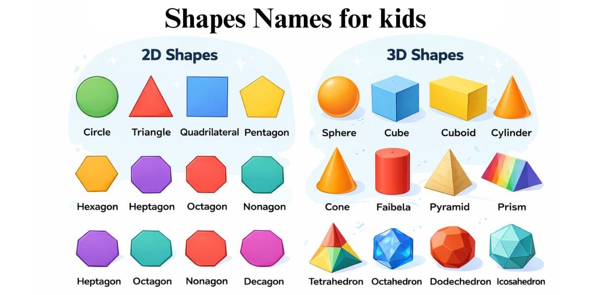 Shapes Name List: 2D & 3D Shapes Examples for Students.